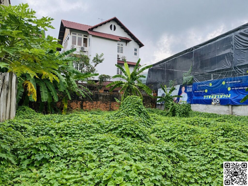 bán đất biệt thự thảo điền