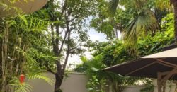 Bán biệt Thự Đường 12 Thảo Điền 295m² Đang Có Hợp Đồng Thuê 90 Triệu/Tháng Bán biệt Thự Đường 12 Thảo Điền 295m² Đang Có Hợp Đồng Thuê 90 Triệu/Tháng