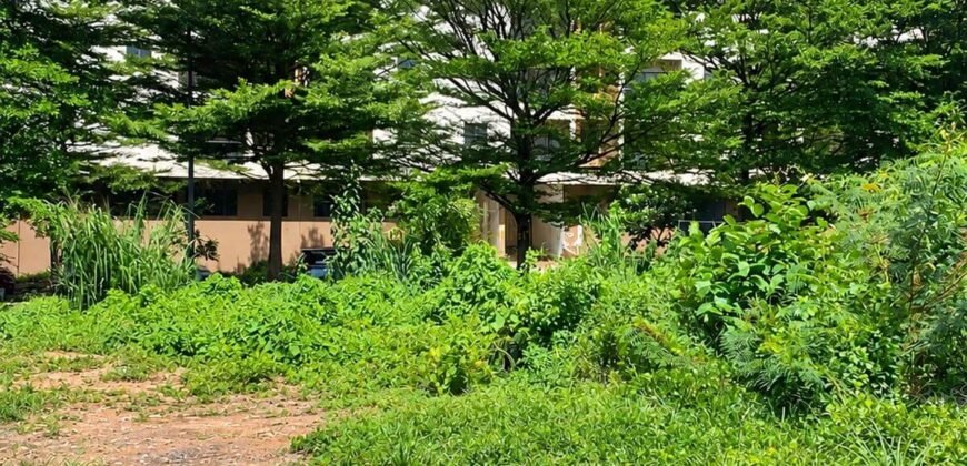 Bán đất đường D5 An Khánh 69,5 m², giá 20,5 tỷ