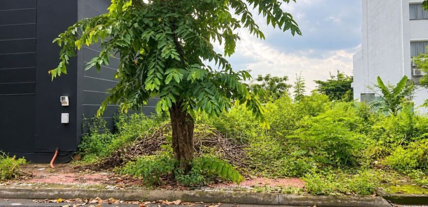 Bán Đất Nền Đường 86 Thạnh Mỹ Lợi 200m² Ngang 10m Khu Quang Trung