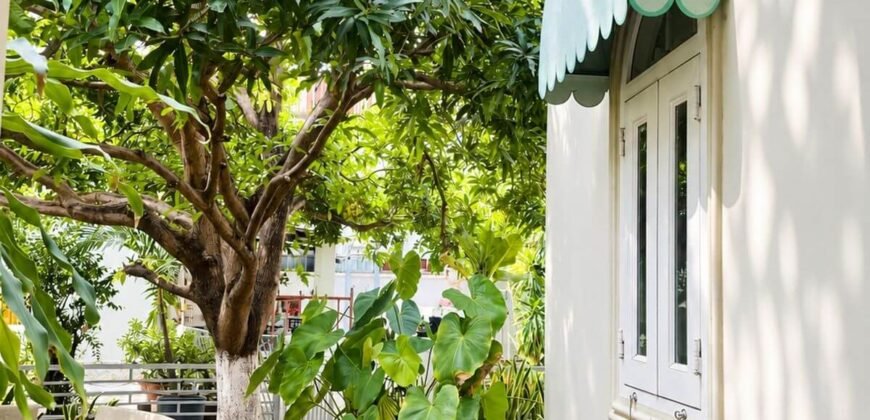 Bán đất mặt tiền Xa Lộ Hà Nội An Phú 2.226 m², 430 tỷ