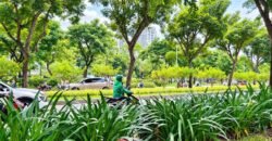 Bán nhà khu Trần Não Quận 2, 5 tầng, giá 21 tỷ