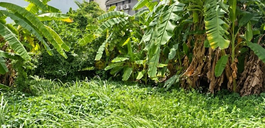 Bán đất Bùi Tá Hán An Phú An Khánh 160 m², giá 36 tỷ